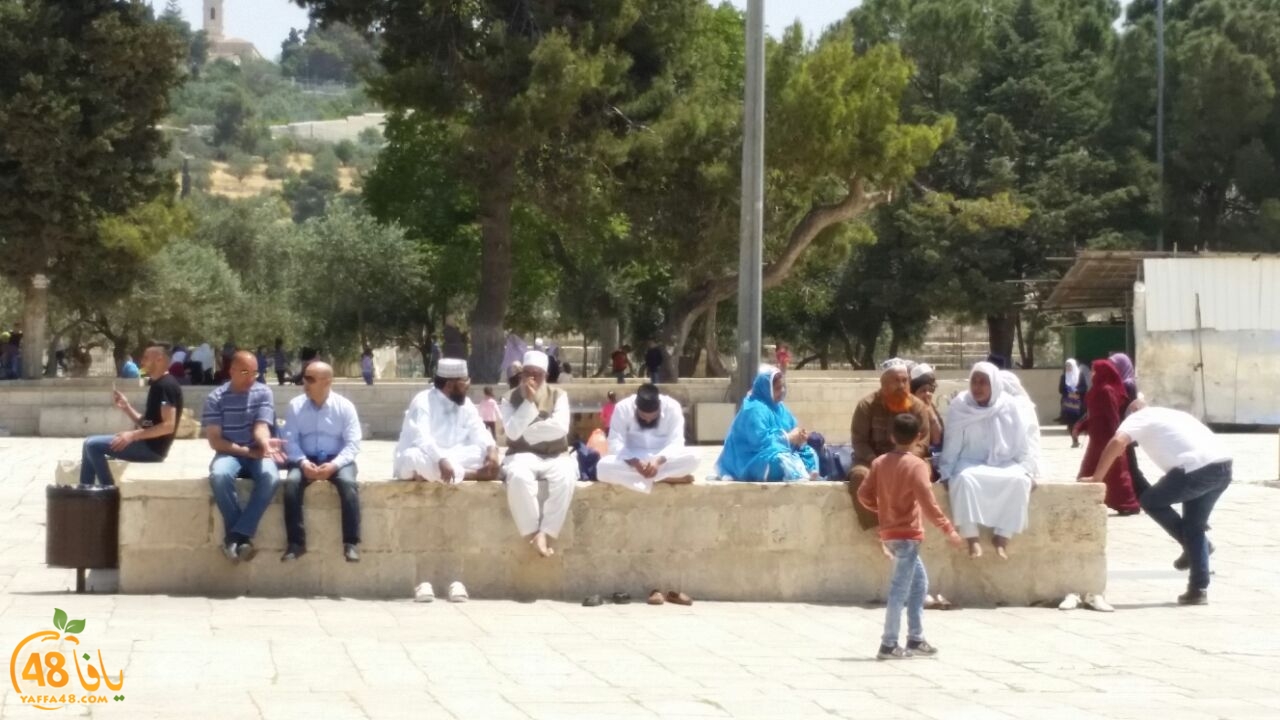 a7bab al aqsaa (10).jpg